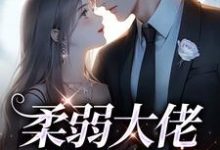 柔弱大佬白切黑后免费阅读,柔弱大佬白切黑后章节在线阅读-红梅文学