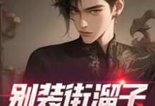 别装街溜子,你就是神探苏野小说在线章节目录阅读最新章节-红梅文学