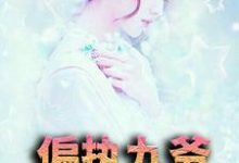 主角叫许星漫江御的小说在哪阅读-红梅文学