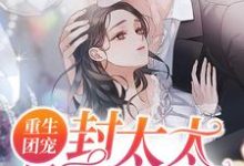 江涵封玖辞小说叫什么(重生团宠:封太太是个小可怜免费阅读)-红梅文学