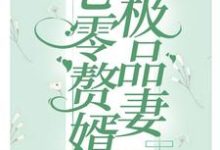 寻找七零赘婿极品妻小说的最新更新章节-红梅文学