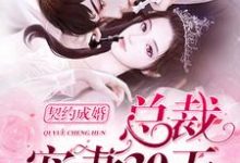 契约成婚,总裁宠妻30天小说的免费阅读版本在哪里可以找到?-红梅文学