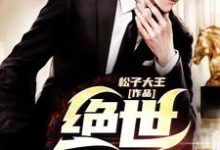 叶辰苏梦竹为主角的小说好看吗?免费读绝世医婿-红梅文学