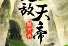 无敌天帝踏万界小说最新章节在哪里可以读到?-红梅文学