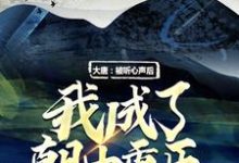 完结版《大唐:被听心声后,我成了朝中重臣》章节阅读-红梅文学
