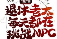 惊悚:退休老太每天都在挑战NPC董淑珍小说大结局免费试读-红梅文学
