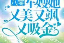 左婧妍陆浩霆小说在线章节免费阅读(八零:军嫂她又美又飒又吸金无弹窗无删减)-红梅文学