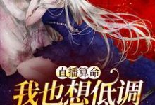 求直播算命:我也想低调,实力不允许小说的全文免费阅读链接-红梅文学
