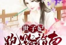 顾繁衣萧霁小说在线章节免费阅读(世子妃跑路指南无弹窗无删减)-红梅文学