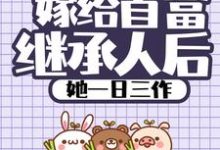嫁给首富继承人后,她一日三作小说全文阅读需要付费吗?寻找免费资源-红梅文学
