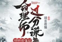 这个命理师明明很强却过分谦虚这本小说在哪里可以看?哪里有免费试读章节?-红梅文学