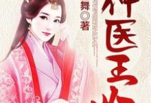 已完结小说《神医王妃》最新章节-红梅文学