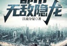 都市无敌隐龙小说,都市无敌隐龙章节在线阅读-红梅文学