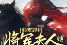 重披铠甲,将军夫人她英姿飒爽小说有没有完结版在线?-红梅文学