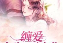 哪里能找到缠爱：今生，要定你小说的全部章节？-红梅文学