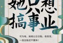 男女主人公苏婉清周以安小说孤女拒宠:她只想搞事业章节免费阅读-红梅文学