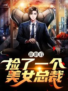 已完结小说《辞职后，捡了一个美女总裁》在线章节阅读