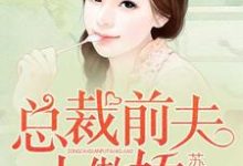 主角陆之诺程景深顾承越宋小茜小说完结版在线阅读,总裁前夫太傲娇免费看-红梅文学