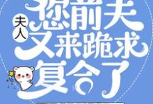 夫人,您前夫又来跪求复合了免费阅读,夫人,您前夫又来跪求复合了章节在线阅读-红梅文学