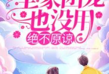 全家团宠也没用,绝不原谅!陆莺晗小说免费阅读-红梅文学