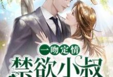 哪里能找到一吻定情：禁欲小叔太难撩小说的最新更新和免费章节？-红梅文学