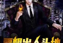 《要想出人头地，就当大反派》小说章节列表免费试读，杨天罡小说在线阅读-红梅文学