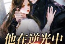 主角苏韵祁征小说他在逆光中告白免费阅读-红梅文学