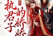 姜姝窈沈韫玉为主角的小说叫什么?免费看强取豪夺:偏执君子的娇娇-红梅文学