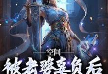 空间：被老婆辜负后，我只想摆烂这本小说完结了吗？免费查看最新章节-红梅文学