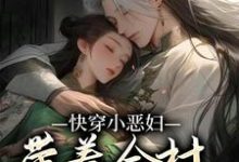 《快穿小恶妇,带着全村一起奔小康》小说大结局免费试读 叶采苹沈知宴小说-红梅文学
