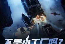 不是小工厂吗?怎么成军火商了林辰小说免费阅读-红梅文学