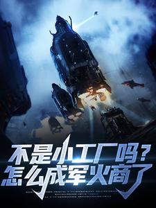 不是小工厂吗？怎么成军火商了林辰小说免费阅读