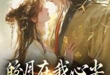 男女主人公苏清绾晏明绝小说皎月在我心尖，也在我怀里章节免费阅读-红梅文学