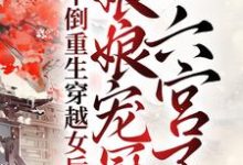 《干倒重生穿越女后，娘娘宠冠六宫了》小说章节列表免费试读，宁婉音赫连祁小说在线阅读-红梅文学