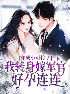 完结版《穿成小可怜？我转身嫁军官好孕连连》章节目录在线阅读