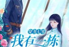 徐婉宁的小说在哪里看?免费在线阅读穿书七零:我有一栋百货大楼-红梅文学