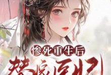 已完结小说《惨死重生后,替嫁医妃灭娘家满门》章节在线阅读-红梅文学