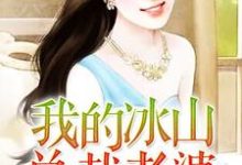 我的冰山总裁老婆小说有没有完结版在线？-红梅文学