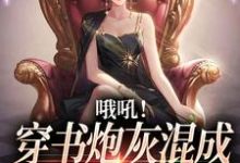 哦吼!穿书炮灰混成书中万人迷了小说,哦吼!穿书炮灰混成书中万人迷了 舒悦傅景深-红梅文学