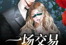 一场交易,清风沦陷小说有没有完结版在线?-红梅文学