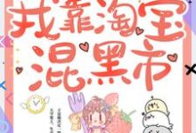 完结版《回到六零,我靠淘宝混黑市》在线免费阅读-红梅文学
