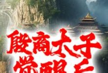 《殷商太子觉醒后,碎了封神榜》小说主角殷郊章节章节免费在线阅读-红梅文学