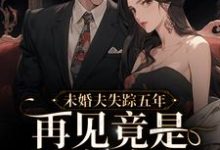 完整版的未婚夫失踪五年:再见竟是别人丈夫小说在哪里可以免费读到?-红梅文学