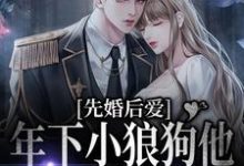 顾晓亦官阳煦的小说在哪里看?免费在线阅读先婚后爱:年下小狼狗他占有欲超强-红梅文学