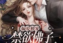 主角年景骁叶枳夏小说偏爱独宠，禁欲佛子搂腰缠吻免费阅读-红梅文学