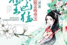 已完结小说《腹黑娘亲萌毒宝:暗王,太凶猛!》最新章节-红梅文学