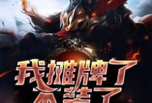 主人公叫王子轩林晓雪的小说我摊牌了，不装了在线阅读章节-红梅文学