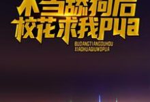 求江城小说免费资源-红梅文学