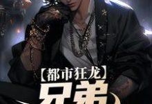 小说《都市狂龙:兄弟,哥罩着你!》在线章节阅读-红梅文学