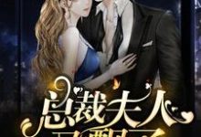 陆青柠战廷东小说叫什么(总裁,夫人又飘了免费阅读)-红梅文学